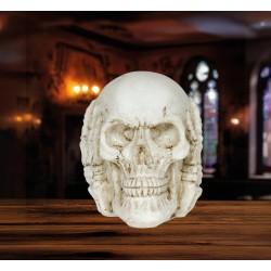 Calavera De Resina De 6 Cm