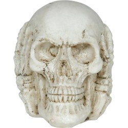 Calavera De Resina De 6 Cm