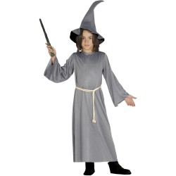 Disfraz niño mago gris